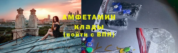индика Алзамай