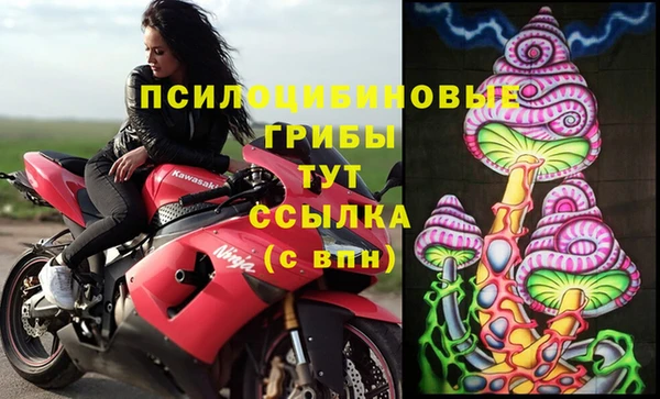 индика Алзамай