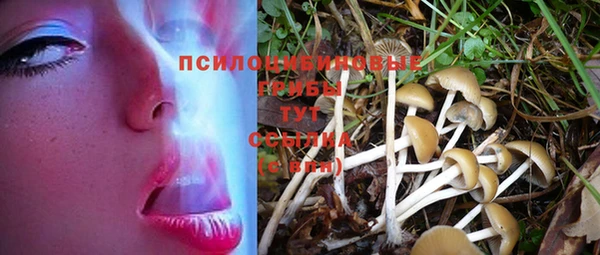 mix Алексеевка