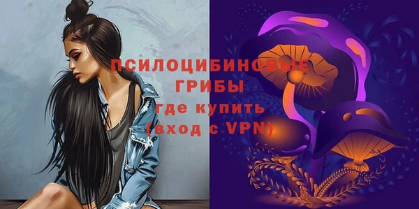 ALPHA PVP Снежинск