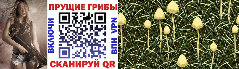 Галлюциногенные грибы мицелий  Купить  Воткинск 